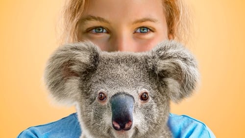 Izzy’s Koala World 1.Sezon 3.Bölüm izle