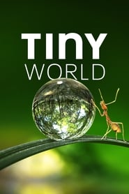 Tiny World izle 