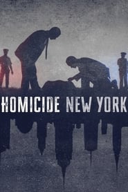 Cinayet Vakaları New York izle 